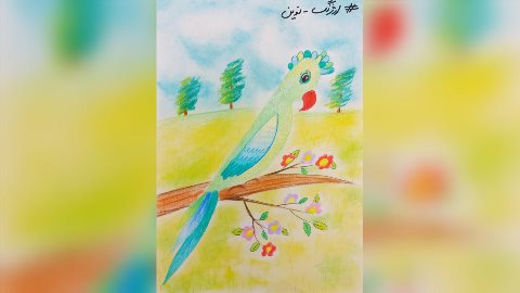 طوطي رنگي با مدادرنگي و پاستل گچي