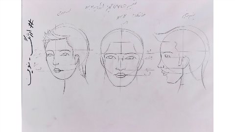 تناسبات صورت