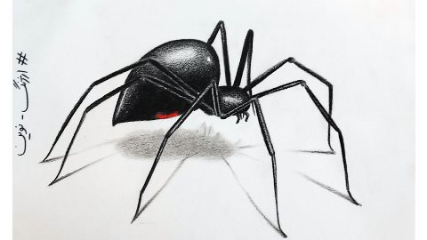عنکبوت